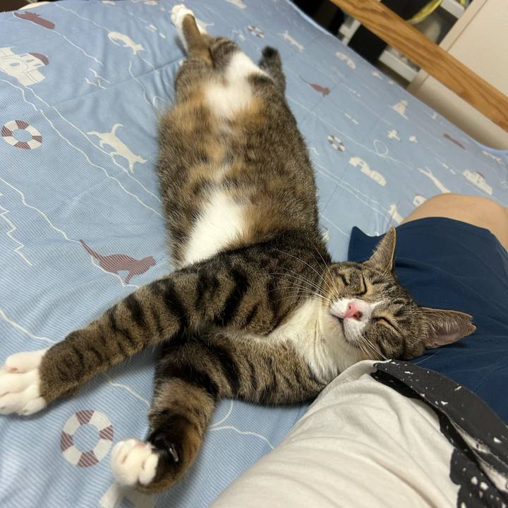 8c58f044 54d4 46f6 b775 8814eeee2b4c 1758466396361