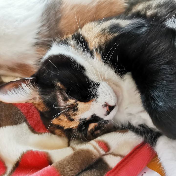 8c58f3f1 a81d 41c0 9952 a8cbdcc24b02 1679211735325