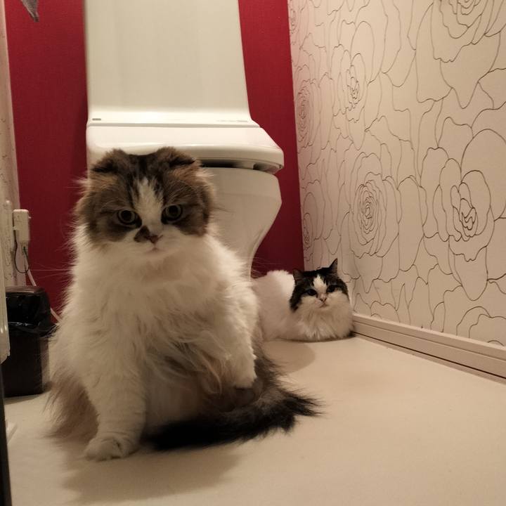 8c5944df 7584 4e82 8103 2763b4072cd8 1766400069688