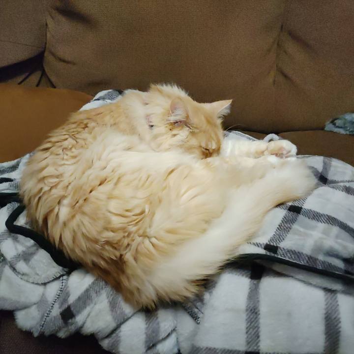 8c594be3 b305 4123 8f66 7046702728ce 1704463267919