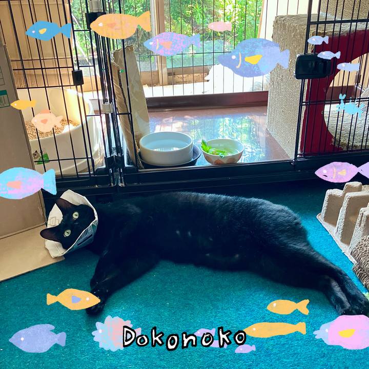 8c59c9e8 9de3 4d5a b636 46ea1f915442 1755318463623