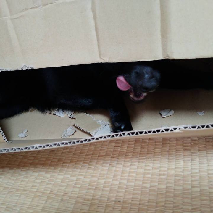 8c59cd64 3be6 4efc 8d29 445d13817fa4 1592221278149