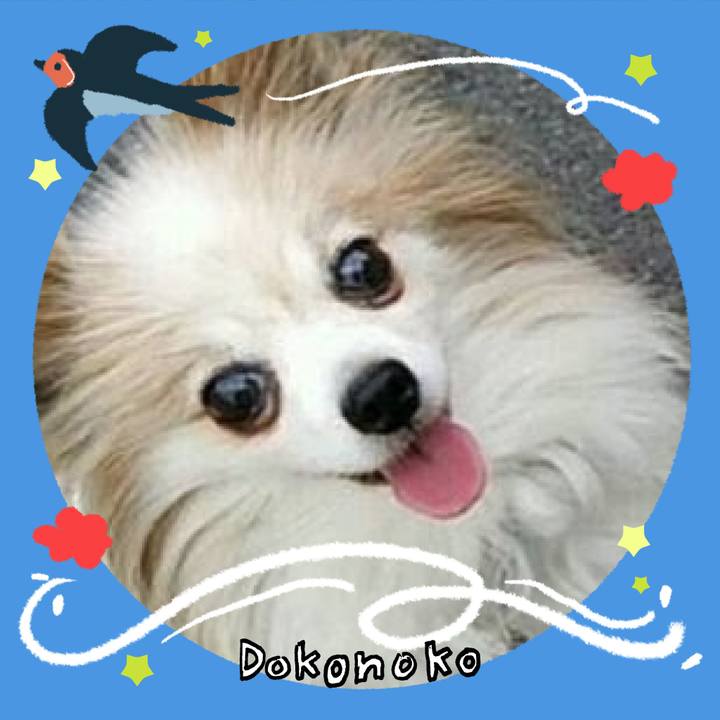 8c59da8d 48f0 4042 be02 87a247115abd 1779786298907