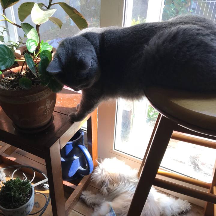 8c59f789 b1f8 47a0 92bd f31edb05d139 1533451570330