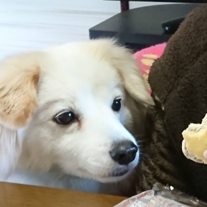 8c59f7ea 45f5 4a83 9d71 2e47007f235c 1547914940085