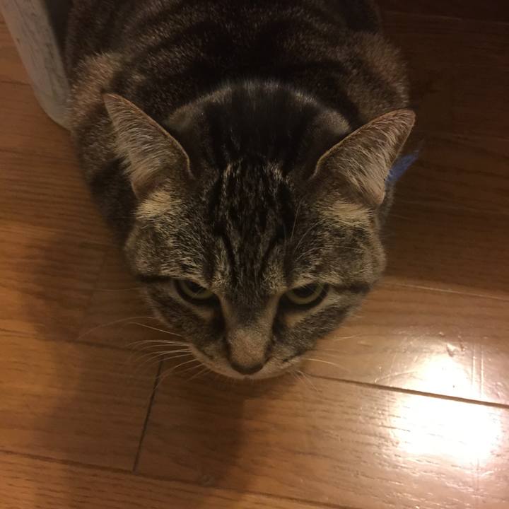 8c5a0769 6e14 4d22 8632 546fbdbbd276 1547633692711