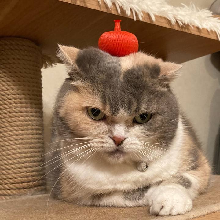 8c5a13e6 6994 4268 93f7 d7a2f6cb5946 1699869364159