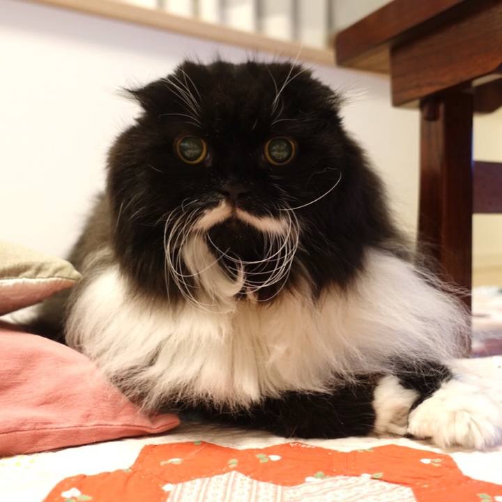 8c5a432a db6d 4056 b94d 5ee2882292d6 1552046346140