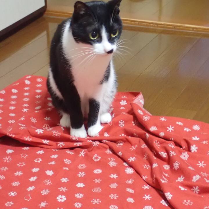 8c5a8941 616c 4f99 99f8 d719f1b2b22b 1528291024066