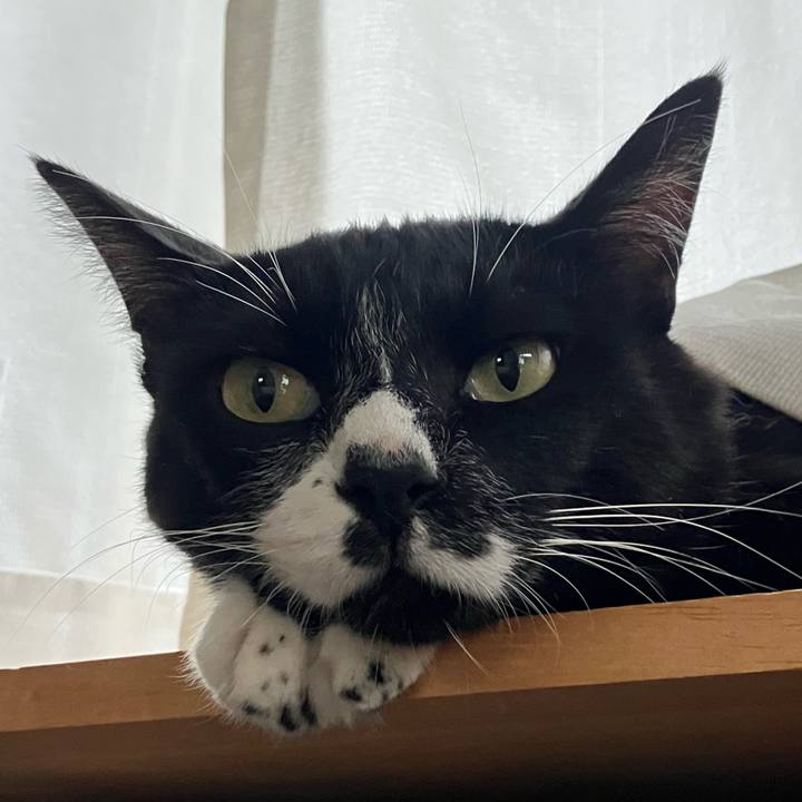 8c5ab220 3807 4d0c 86ec 595f744ec62c 1666150595698