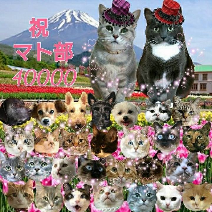 8c5ab25a 631a 4208 915a 10ebf7837d22 1555590760614