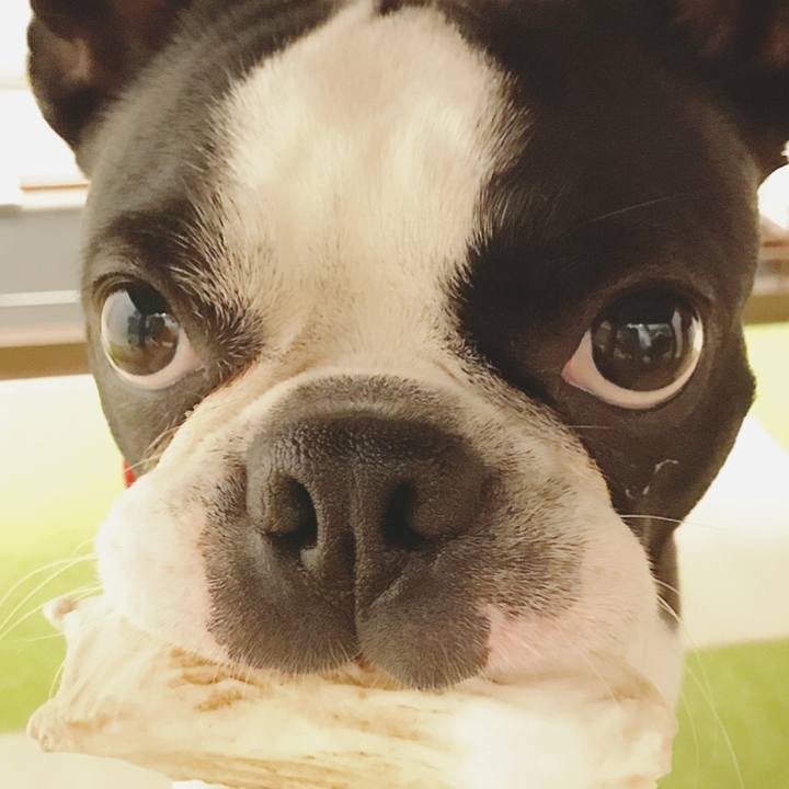 8c5ab41e e4b9 4ddd b1b3 ec02d13a8a2d 1523937367173