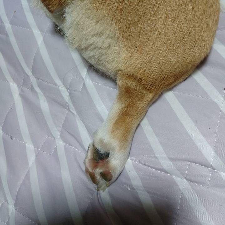 8c5b103e 2ae8 424d 8a2e e0c984367cc4 1594355045577