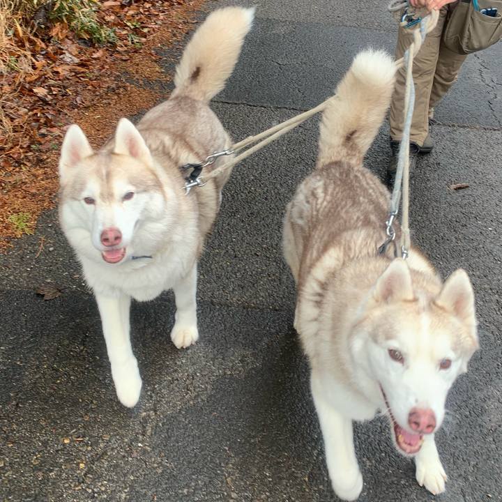 8c5b6ea1 f1f0 4219 a3c4 55757c404075 1707537105447