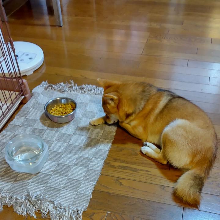 8c5b9313 5752 49e4 8a8f 73024843bc38 1629581417270