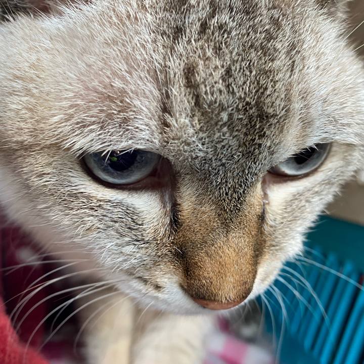 8c5ba587 75d8 4d8c b4b7 c9b9c07e671a 1598839010949