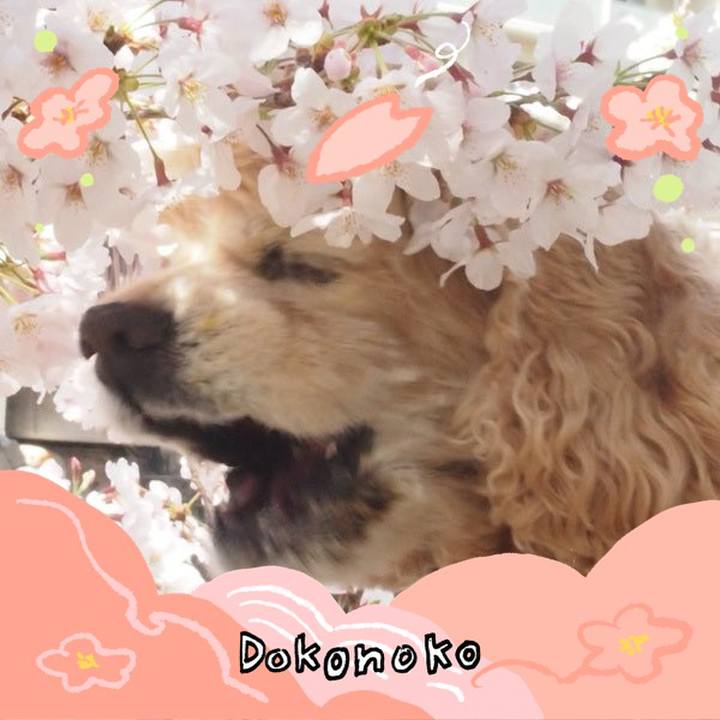 8c5bb882 9545 4277 a222 8e72edc54bb9 1775439633704