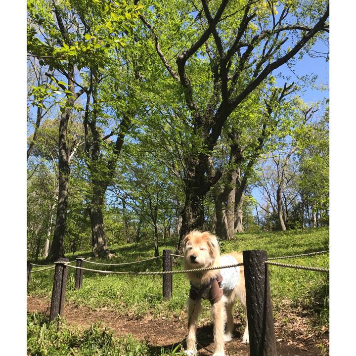 8c5bda53 93a2 4e78 b69c 3a2cb7ec565e 1586843647863