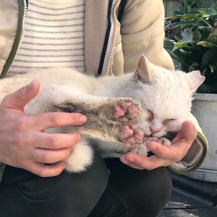 8c5bdcae 07b4 4c68 98c3 4c188ceee815 1521790070065