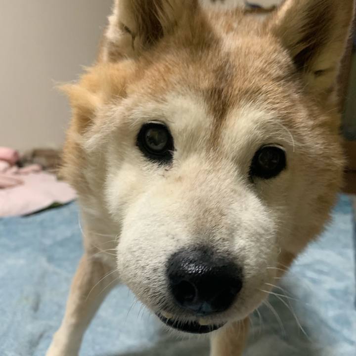 8c5c38ed 9790 421a beb4 98dfe53281e3 1673099859489