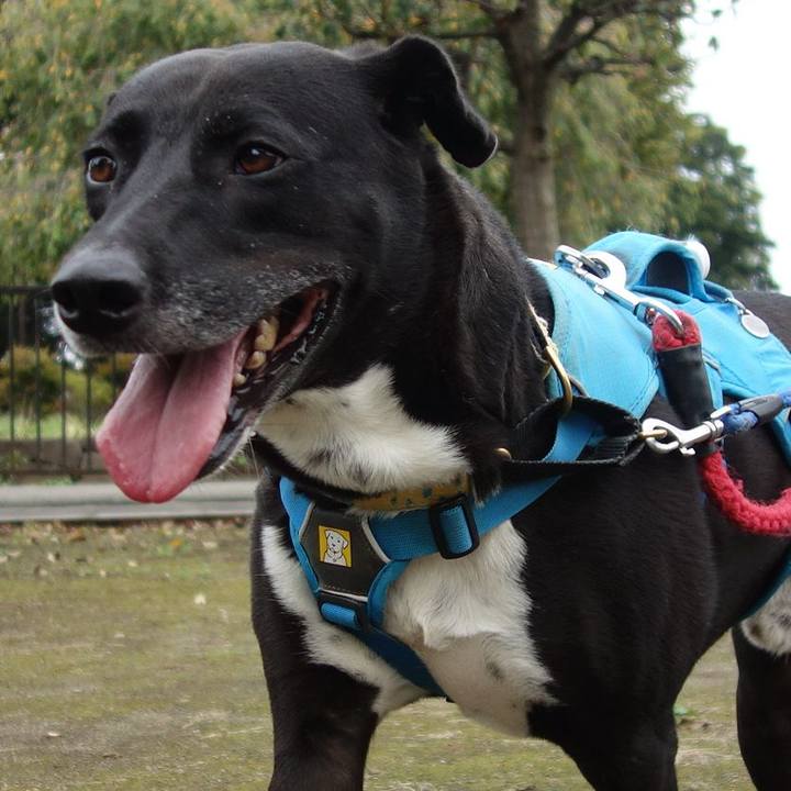 8c5c45a7 8e3a 4f36 90fc 94a1a62d6756 1634171883304