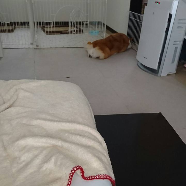 8c5c6c6e 44ee 4c36 827c 5ce21dcf87d7 1526709390281