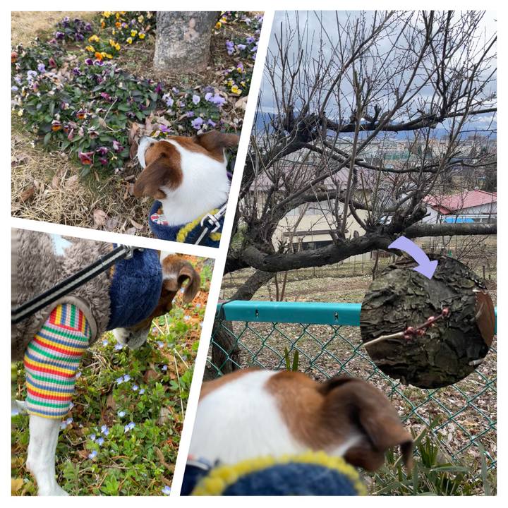 8c5c8550 52c6 4245 ac50 708778007089 1741259578565