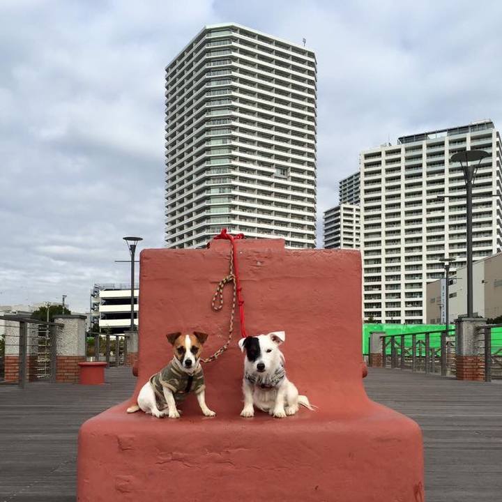 8c5cacb3 1f50 4ea7 834f fe30ee3a9fe5 1542034925543