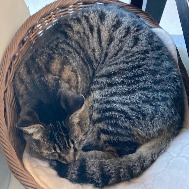 8c5ce5cb 6168 45e0 8baa 52ba37f044d2 1665106779470