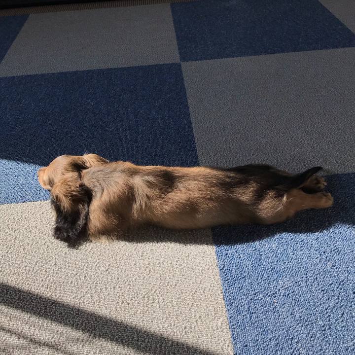 8c5d00f6 86d0 4f56 83d7 1192d6452051 1611011227577