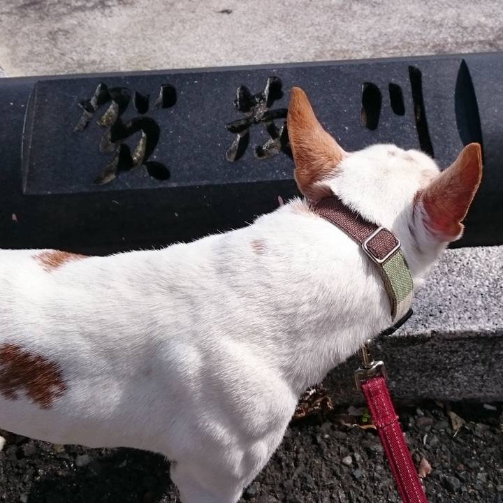 8c5d19ea 9f6c 437a a47c 8162827077ad 1674299984383