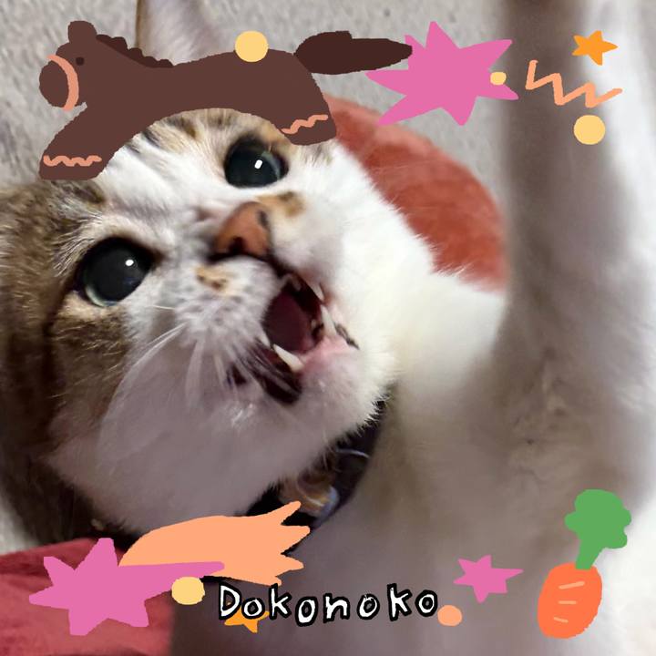 8c5d3f69 7565 4d77 8912 2c5a45470033 1771973553904