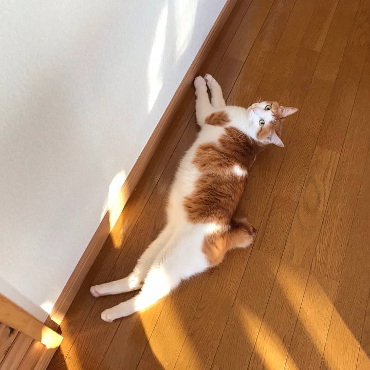 8c5d6ba9 05e6 4215 91c2 5ff9af41e3a3 1522705382157