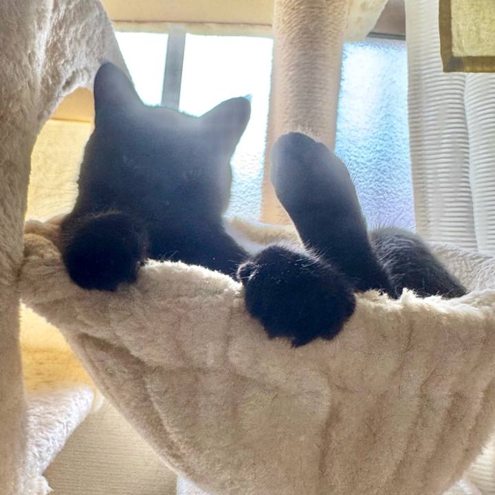 8c5d72fa d1fc 49b7 a313 d91d0f9187eb 1755046479474