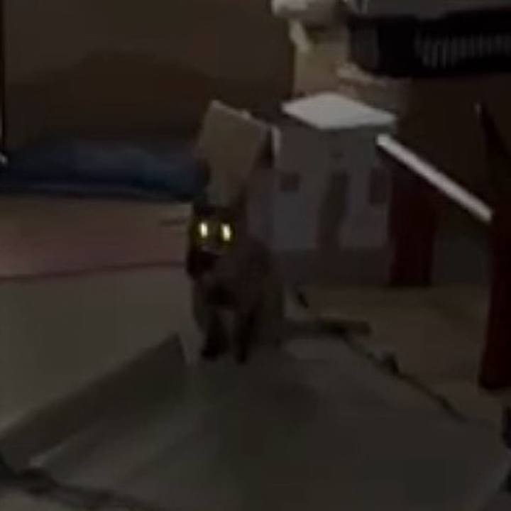 8c5d77de 55f7 4ea4 922e bae2e9ec3590 1775852786430