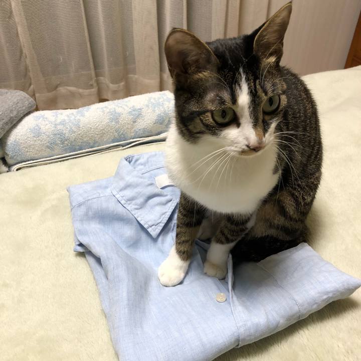 8c5dba2a 64ce 45e2 aad3 4541be1d8d50 1522407901542