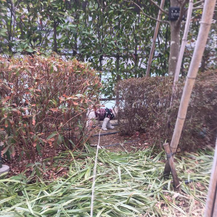 8c5dc959 76bc 41b4 a707 97035b24bb8a 1518326503440