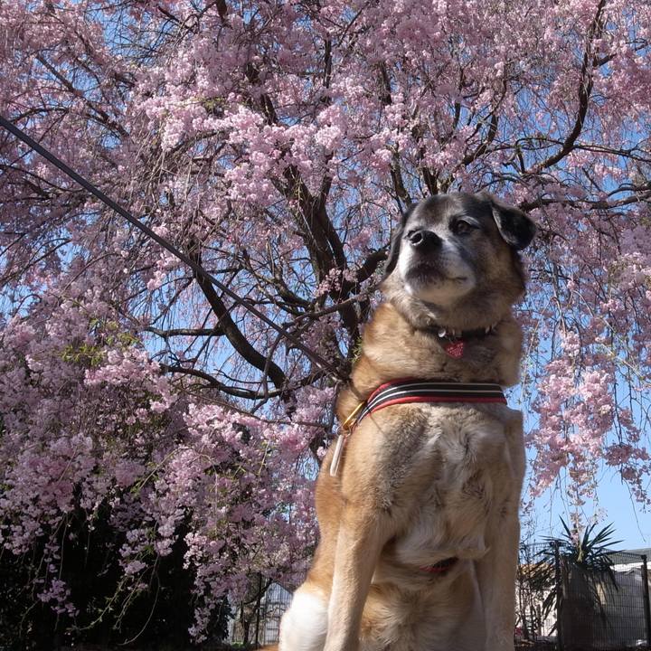 8c5de17b ad7f 4b0b 8edf 9497db1e79f7 1603414027375