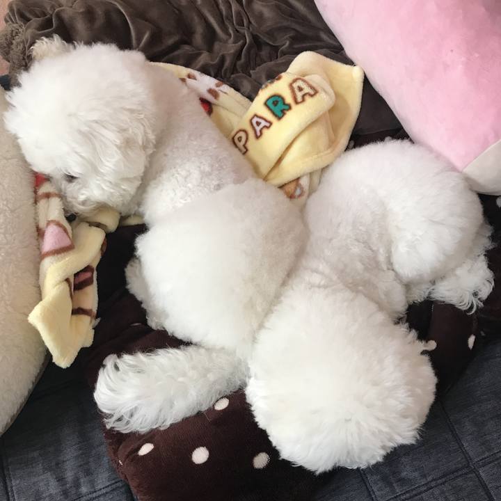 8c5e2bf5 07d8 4d15 9f98 703be5b48817 1575508073164