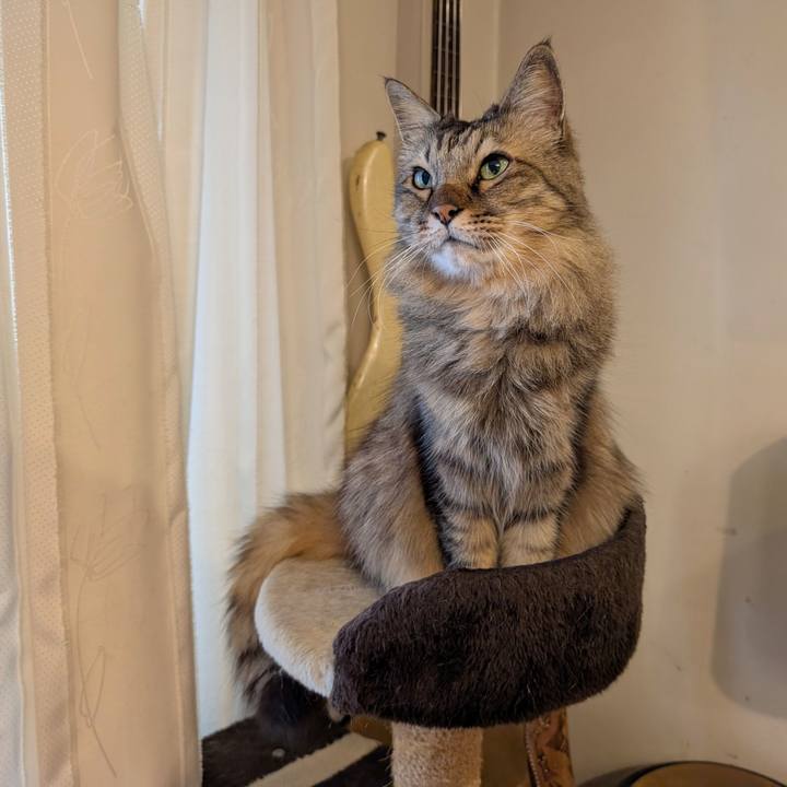 8c5e8727 7c4e 49ad a552 2018b2033bfc 1768261049770