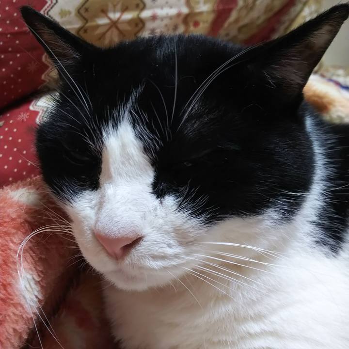 8c5ebca2 e663 4cc8 a3c8 864b4f88a882 1562722385164