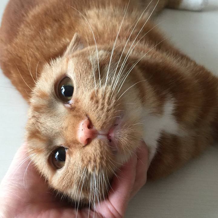 8c5ef5da cc84 4c54 9323 c7ad12e6c52e 1557187355891