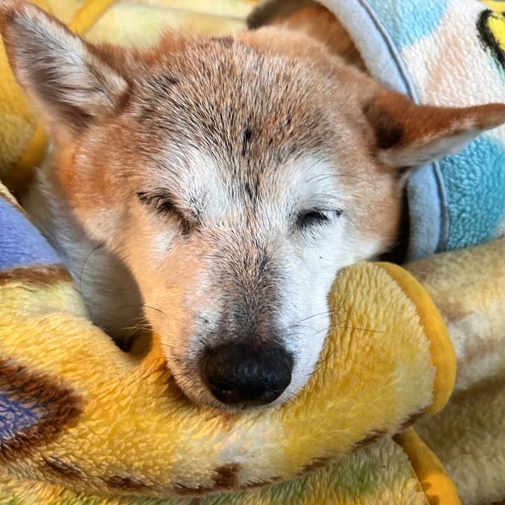 8c5f4e31 398e 40b6 94b2 b55c493937ca 1761364538895