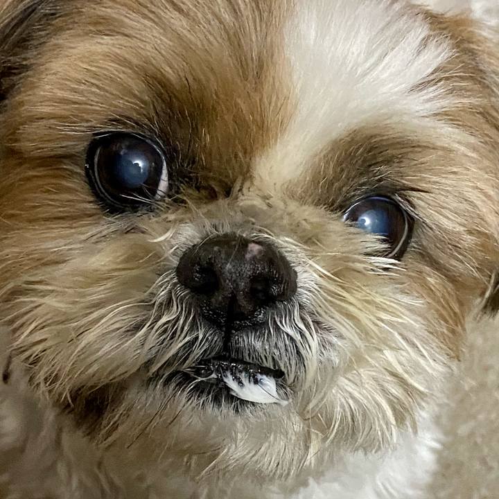 8c5f6a0a 91f7 4730 8251 f893e1892406 1613126808720