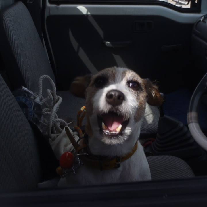 8c5f9231 e1a0 4322 b366 c87609a5c628 1529749537826