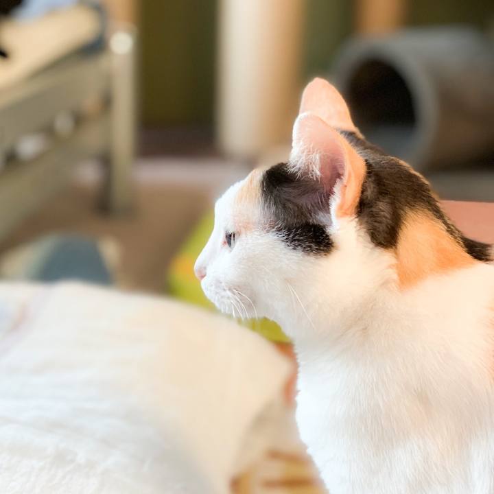 8c6033e4 fce4 4e20 8bc4 678cb89a1e46 1567734027807