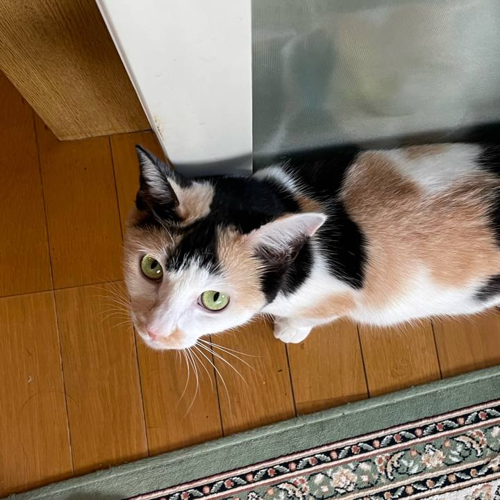 8c603565 0d73 4356 889a 454f06a69c17 1690677251551