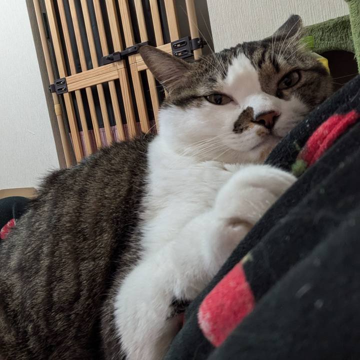 8c6054c0 8584 4ede 8d5d 5fded4c5d307 1733819742908