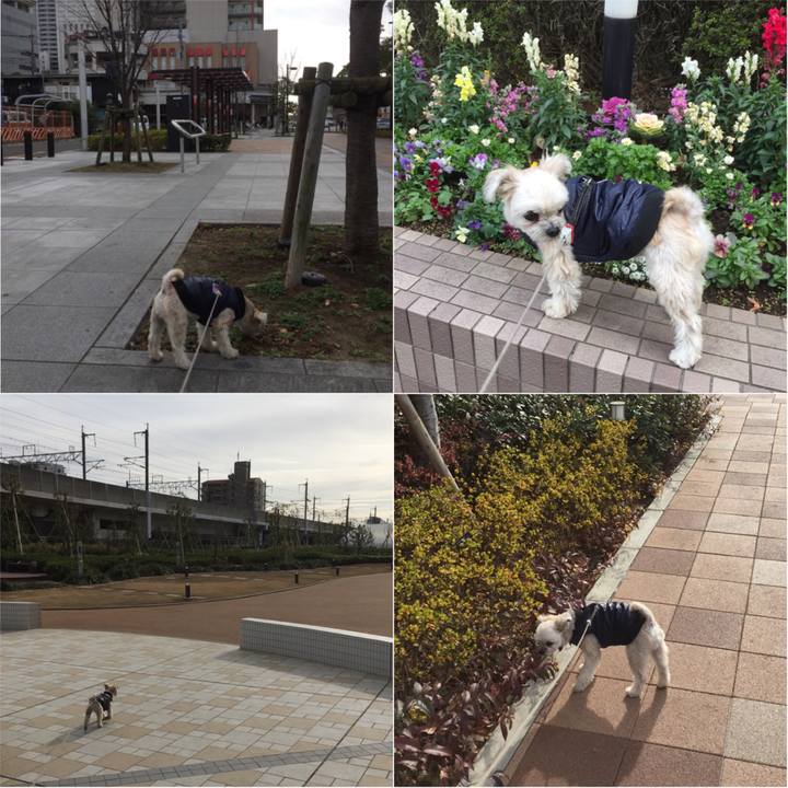 8c6059fe bc4f 4748 a919 d57fb4604e9e 1545878936558