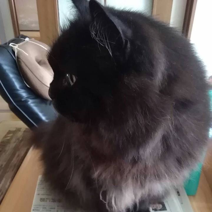 8c60a67a cf53 4167 bb5e 998b0b4933bb 1529798773757